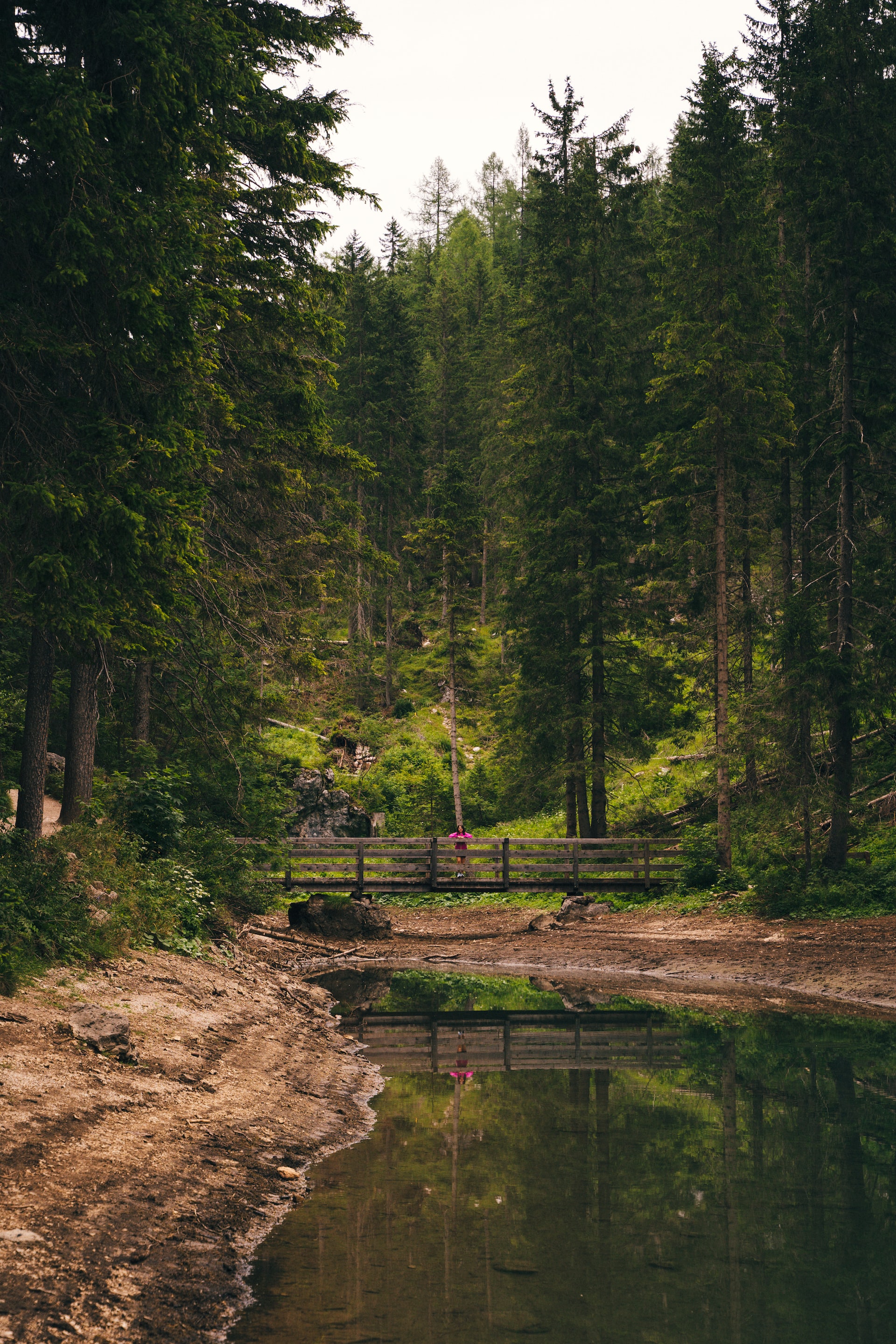 Nature Image #4